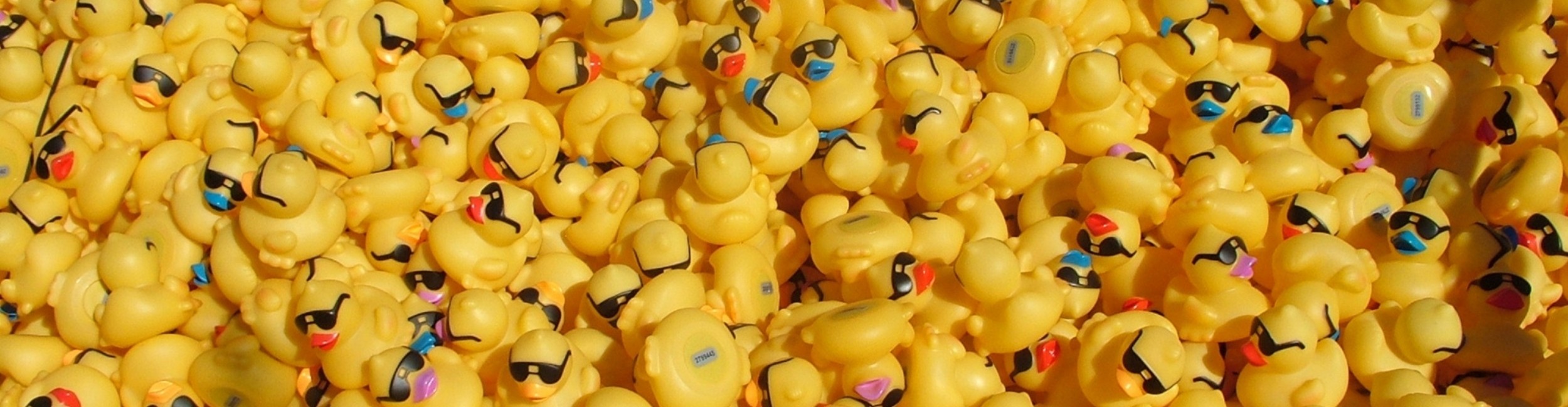Great Snake River Greenbelt Duck Race
